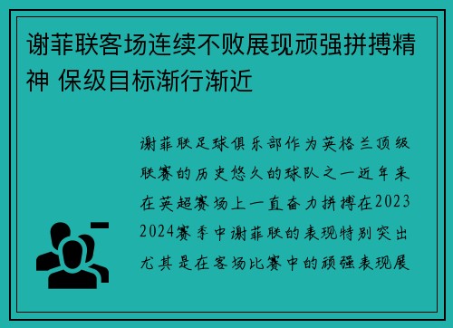 谢菲联客场连续不败展现顽强拼搏精神 保级目标渐行渐近