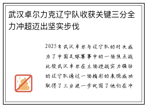 武汉卓尔力克辽宁队收获关键三分全力冲超迈出坚实步伐